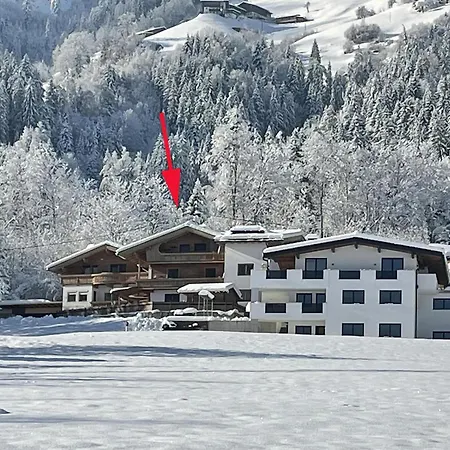 Birgit Apartamento Zellberg